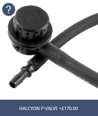 Step 4 (Optional) - P-Valve Options