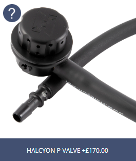 Step 4 (Optional) - P-Valve Options
