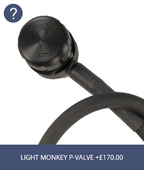 Step 4 (Optional) - P-Valve Options