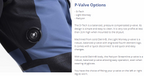 Step 4 (Optional) - P-Valve Options
